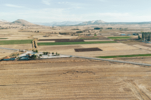 Plots in Palwal for Investment Verified Residential Plots