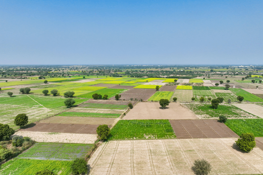 Plots in Faridabad Verified Projects in High-Growth Areas