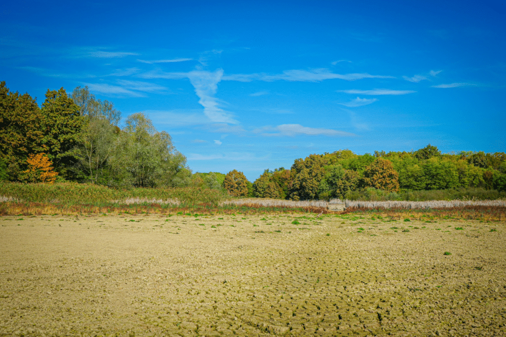 200 Sq. Yd. Plots in Palwal