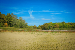 Invest in 200 Sq. Yd. Plots in Palwal – High Growth Location
